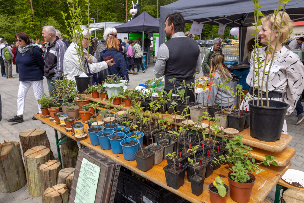 Jungpflanzenmarkt und Kuchenbasar auf dem Tag der offenen Tür der Nachsorgeklinik am Straussee